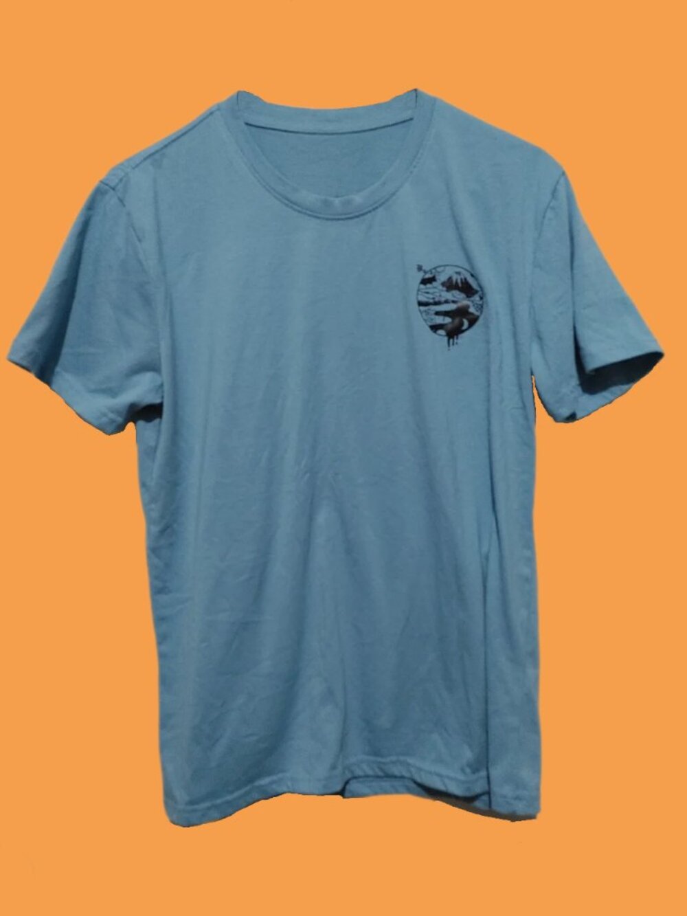 SHEIN Light Blue Short Sleeve Graphic T-Shirt